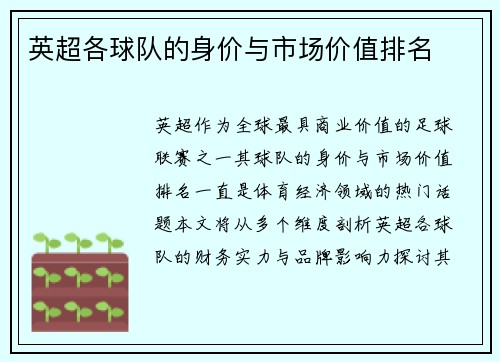 英超各球队的身价与市场价值排名